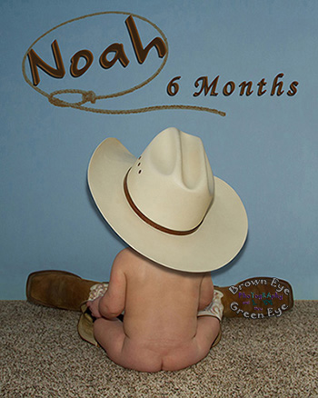 Cowbaby Noah at Six Months